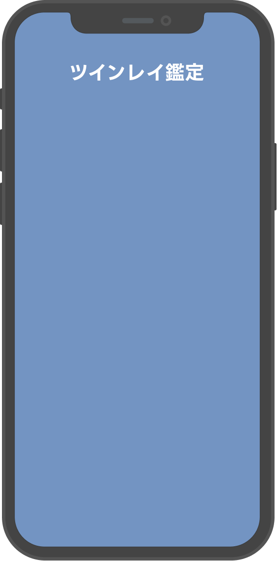 ツインレイ鑑定のイメージ